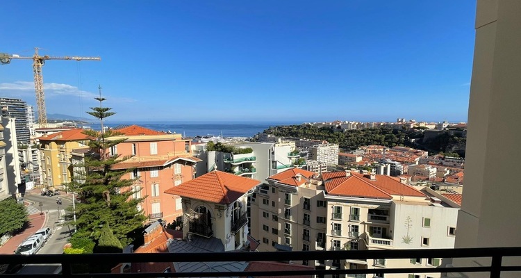 BOSIO PALACE: BOURGEOIS - PANORAMIC VIEW - RENOVATED