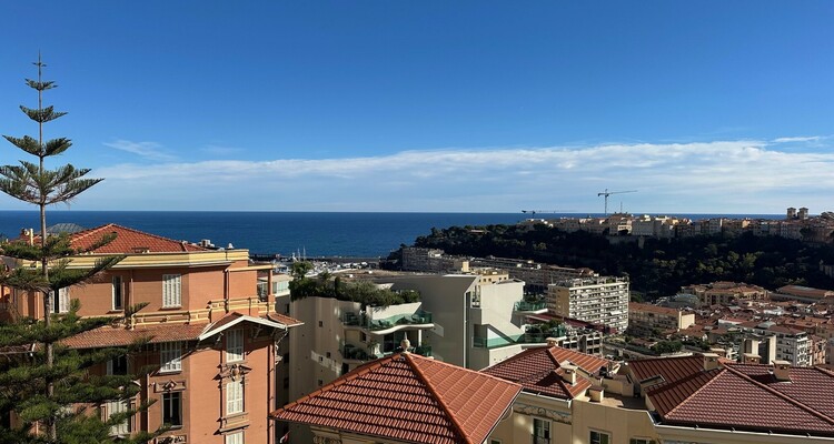 BOSIO PALACE: BOURGEOIS - PANORAMIC VIEW - RENOVATED
