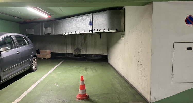 PARC SAINT-ROMAN - PARKING SPACE