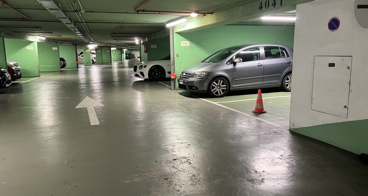 PARC SAINT-ROMAN - PARKING SPACE