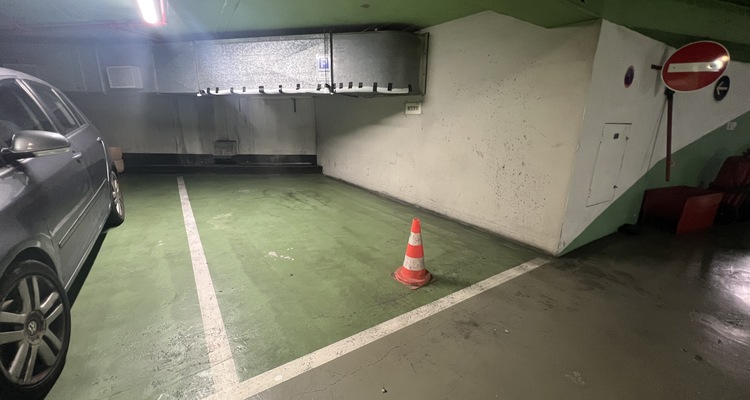 PARC SAINT-ROMAN - PARKING SPACE