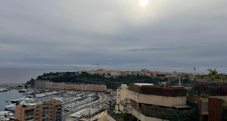 Superbo Trilocale con viste panoramiche sul porto di Monaco, sul mare e sul palazzo
