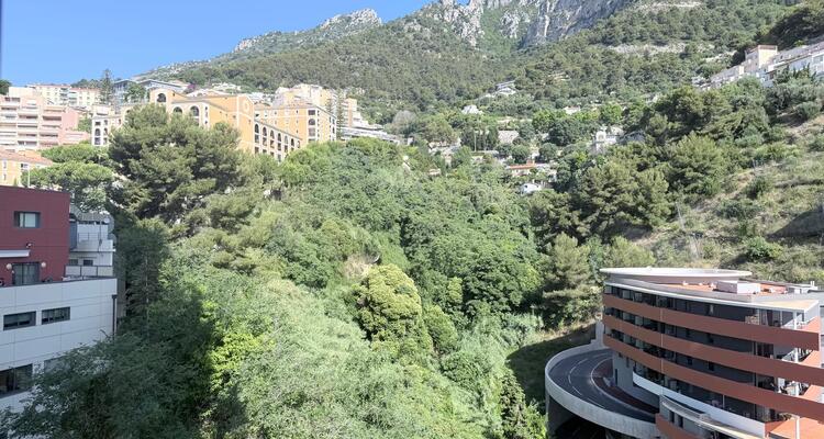 PARC SAINT ROMAN – ELEGANTE MONOLOCALE