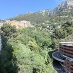 PARC SAINT ROMAN – ELEGANTE MONOLOCALE - 6